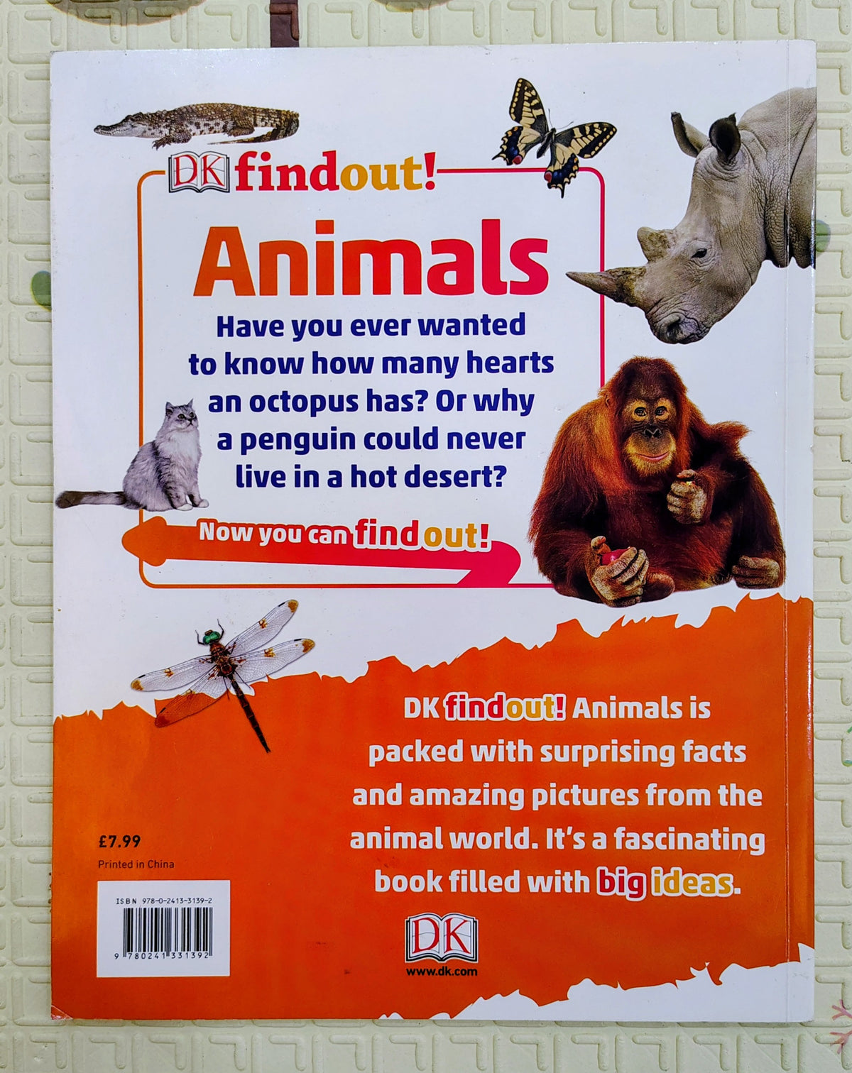 DK Findout! Animals – StoryStacks