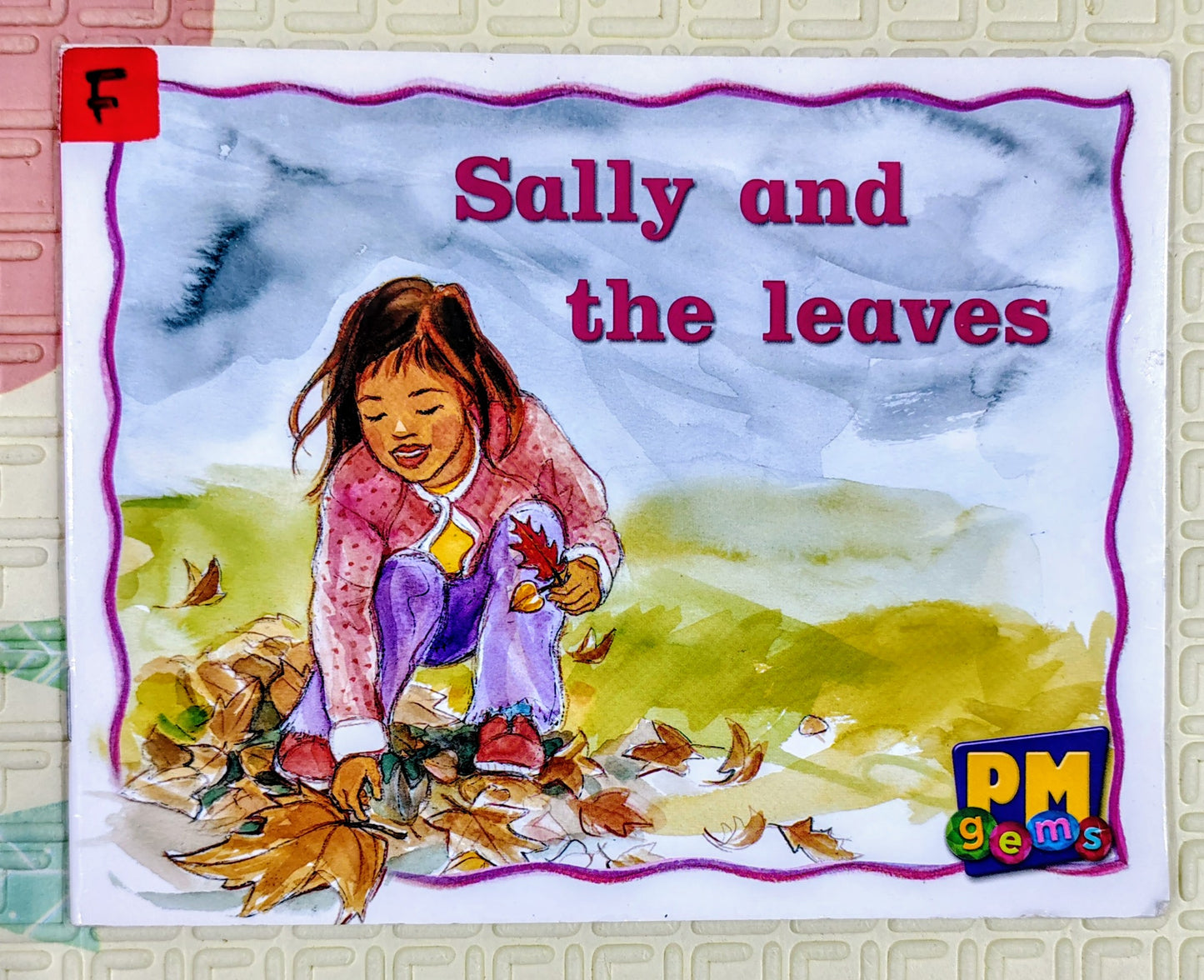 Sally and the Leaves PM Level 5