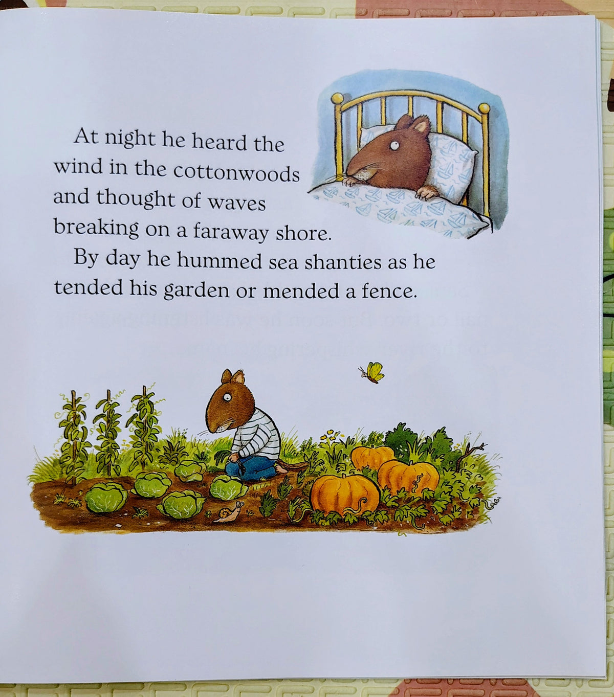 Sam Who Went to Sea – Phyllis Root & Axel Scheffler