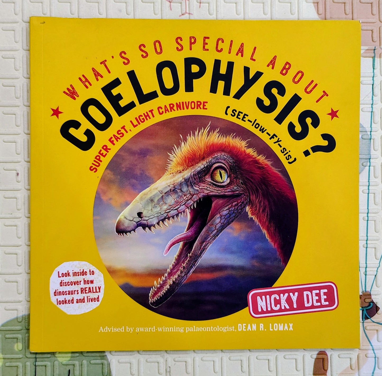 What’s So Special About Coelophysis? – Nicky Dee