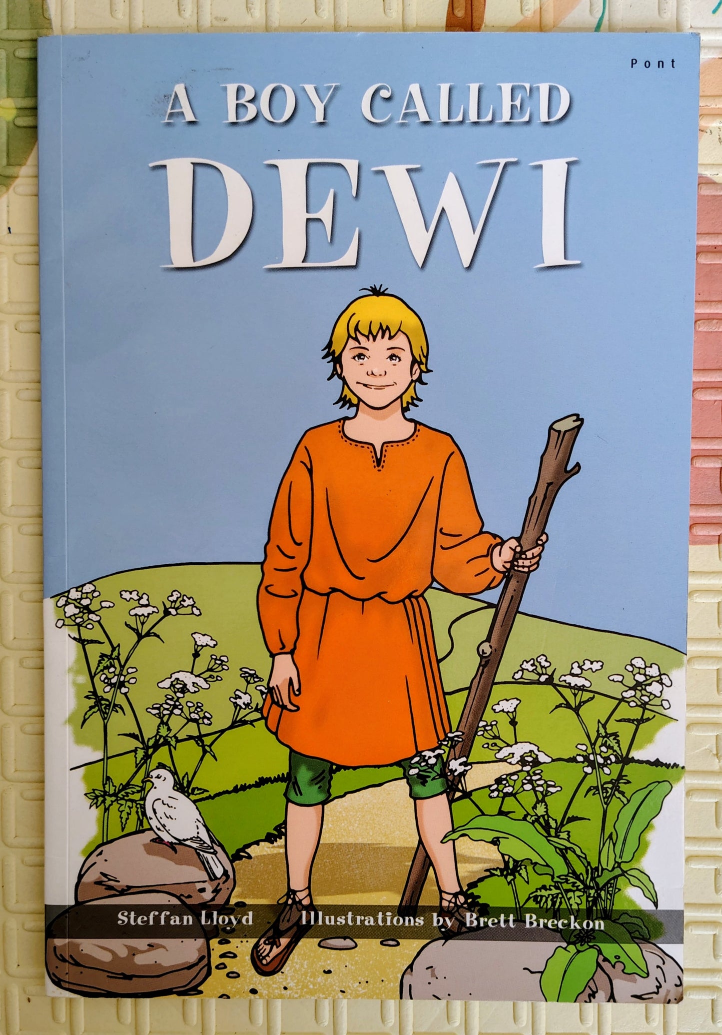 A Boy called Dewi – by Steffan Lloyd, illustrated by Brett Breckon