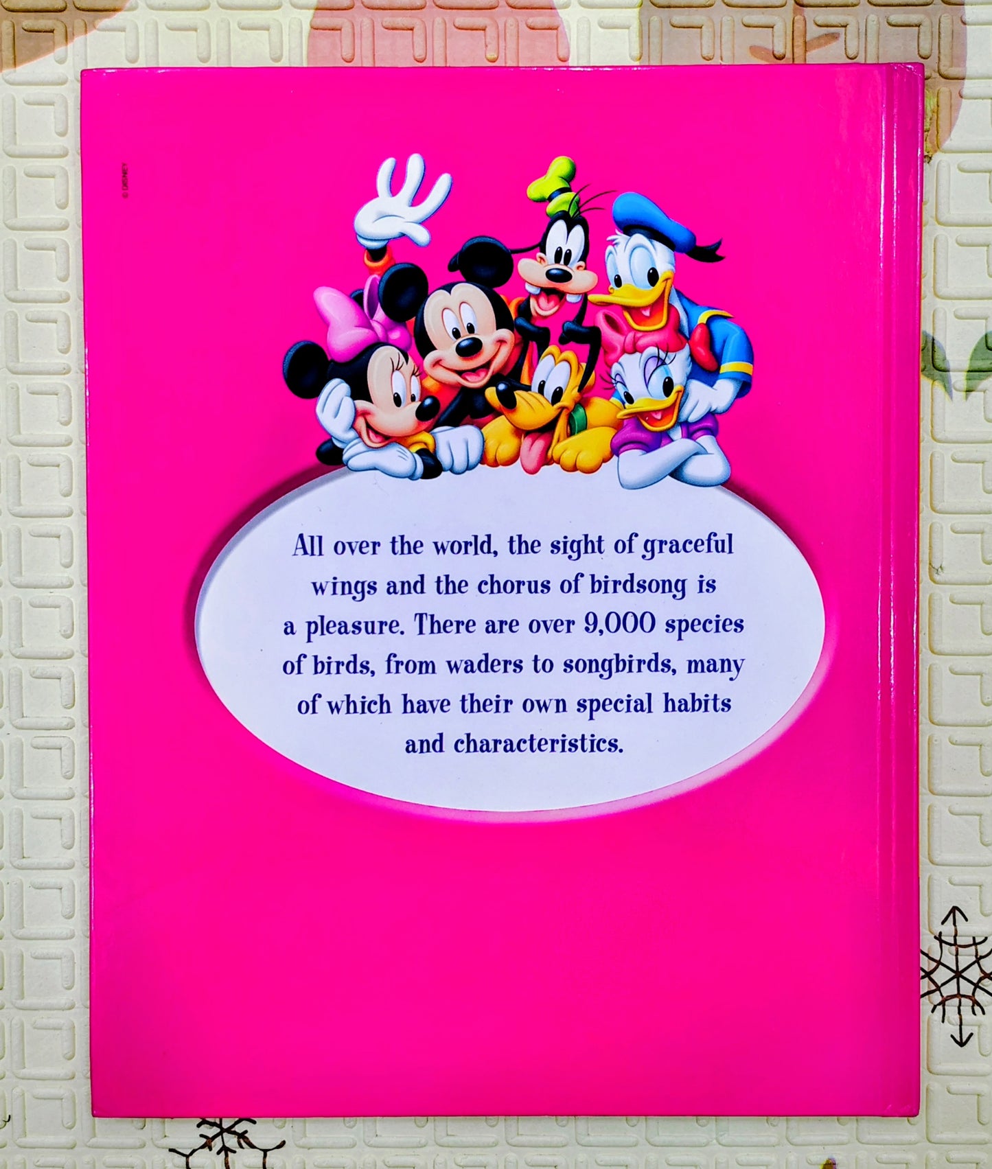 Disney – The Wonderful World of Knowledge: Birds