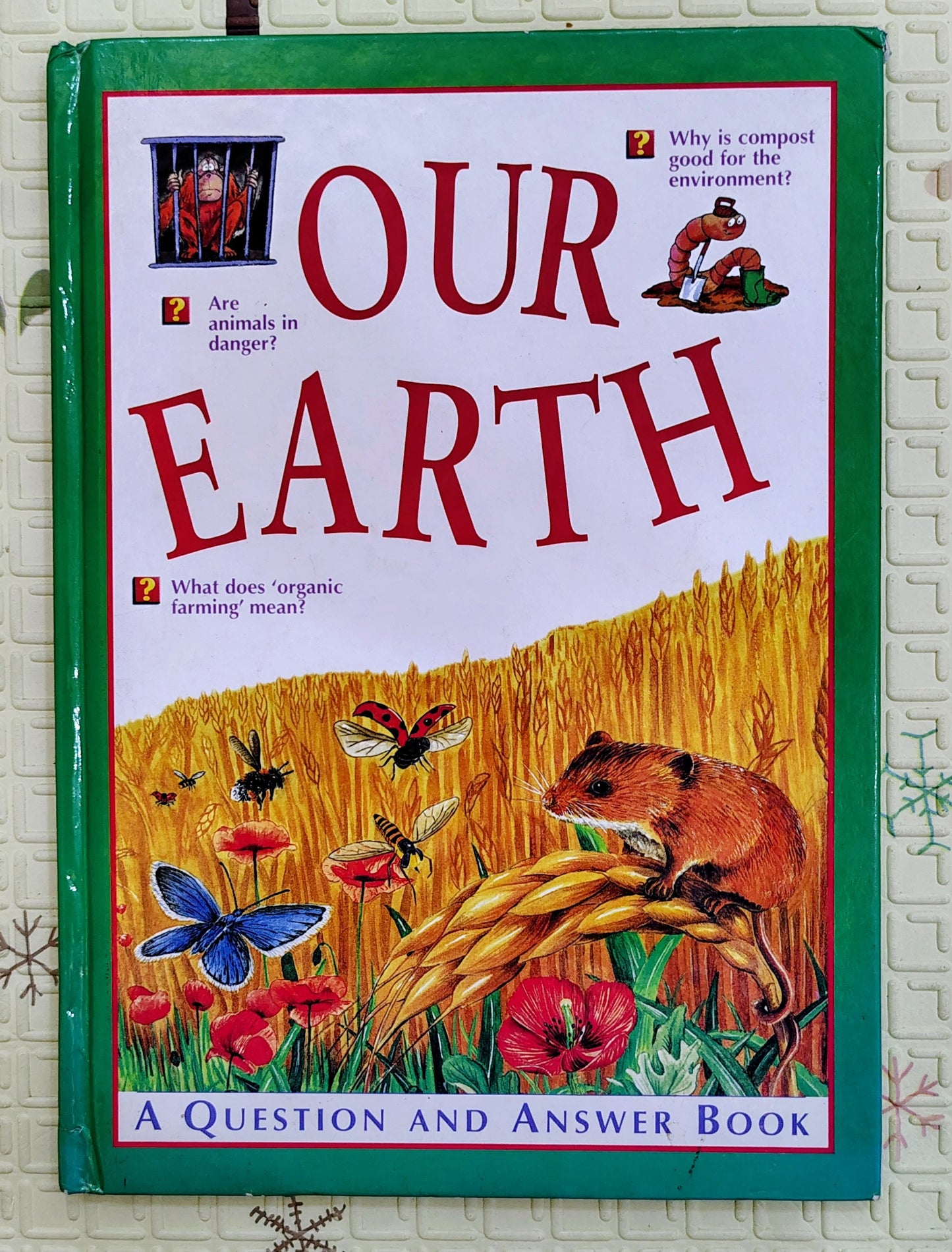 Our Earth (Q&A Book)