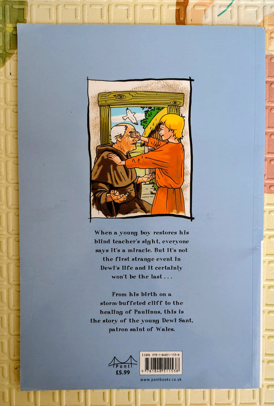 A Boy called Dewi – by Steffan Lloyd, illustrated by Brett Breckon