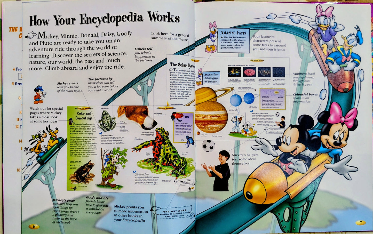Disney: Wonders of the Sea
