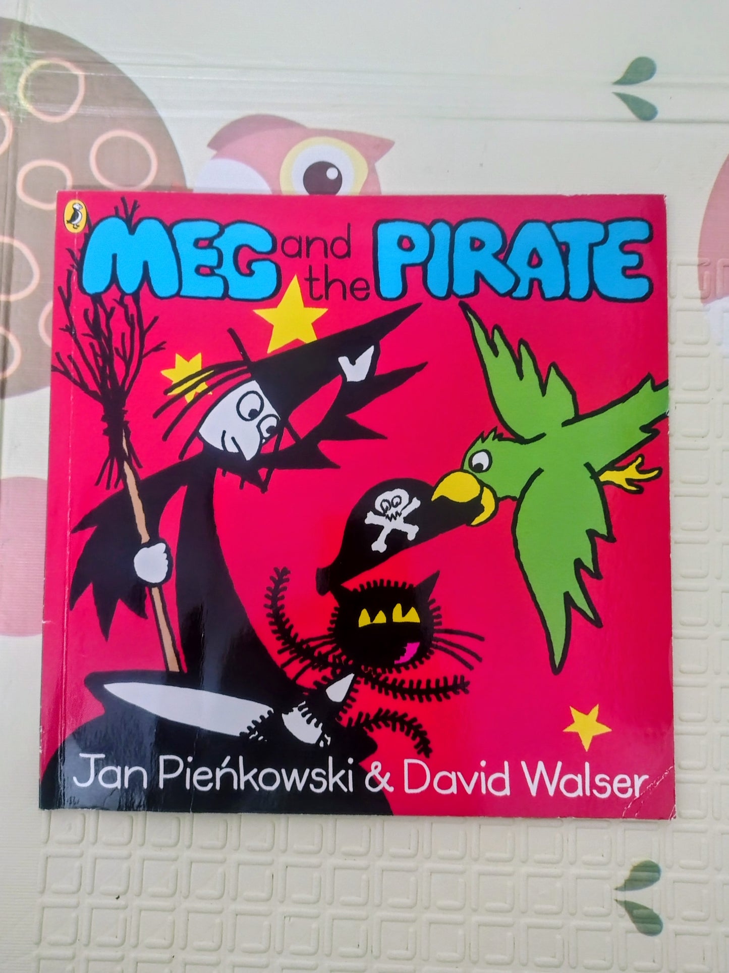 Meg and the Pirate by Jan Pienkowski & David Walser