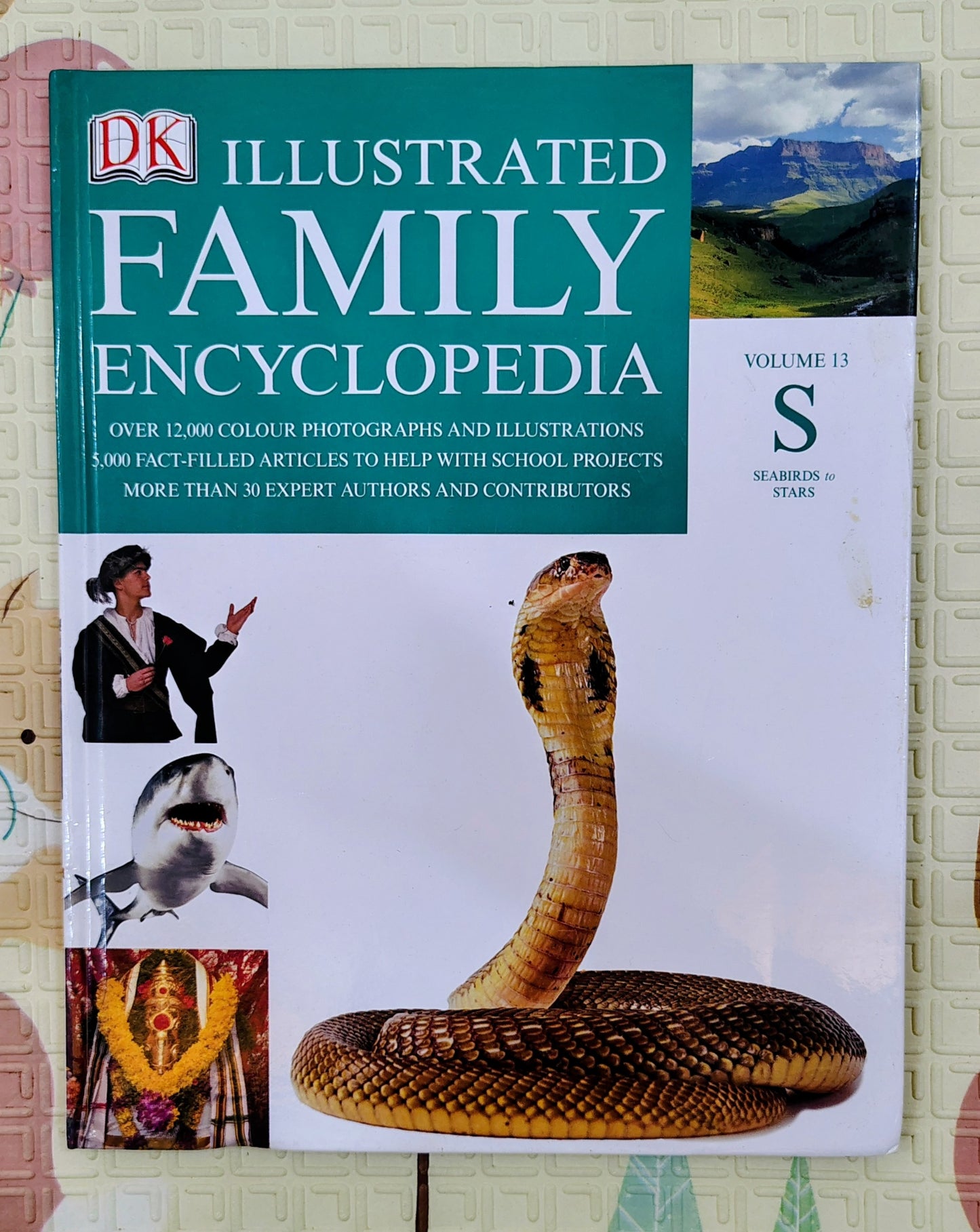 DK Illustrated Family Encyclopedia Volume 13 S | DK | Encyclopedia