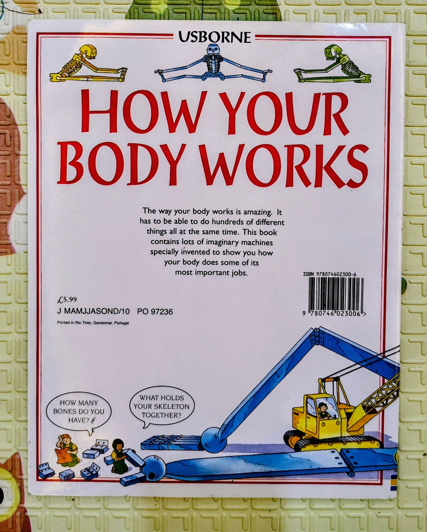 How Your Body Works – by Judy Hindley & Colin King