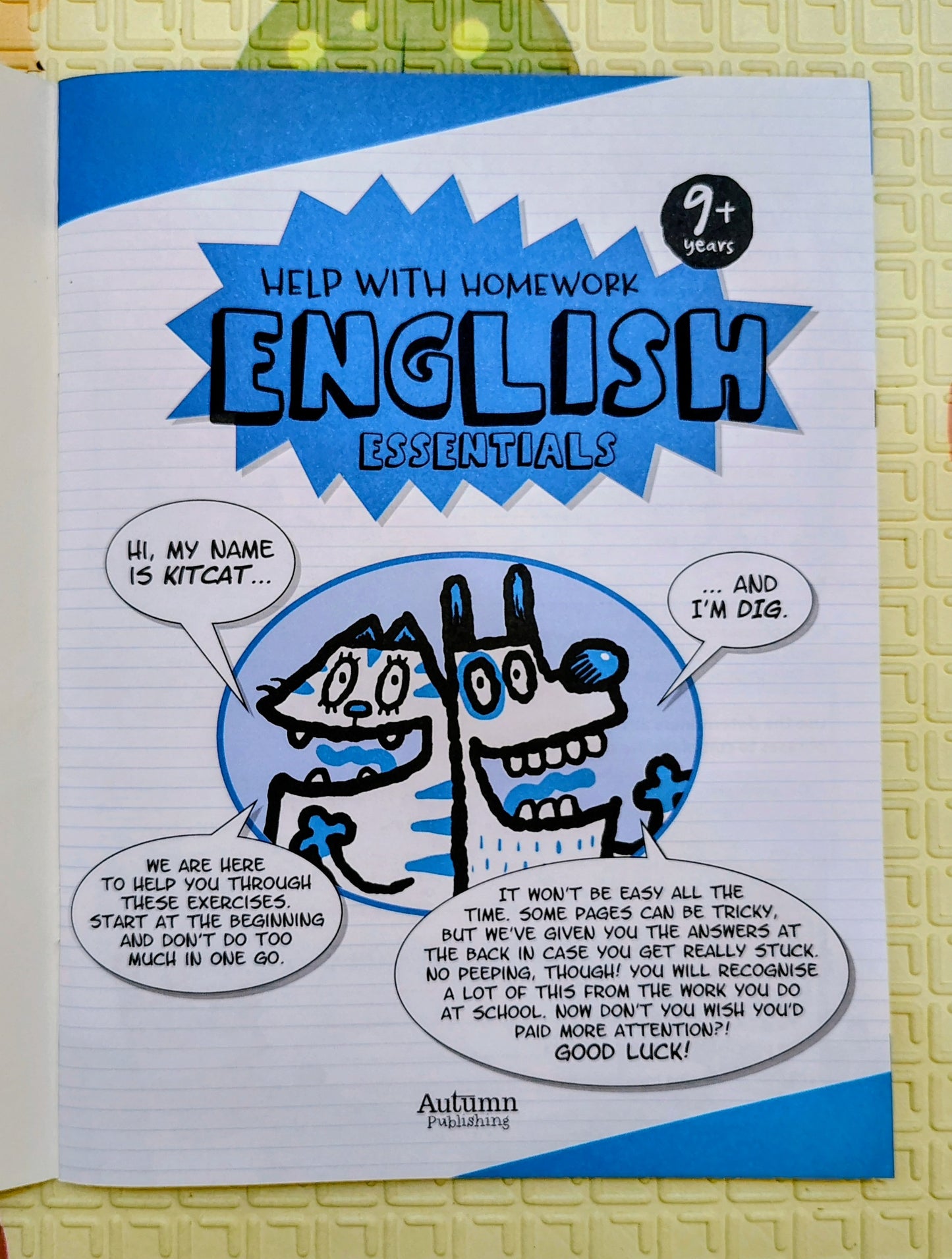 English Essentials (Help with Homework 9+)