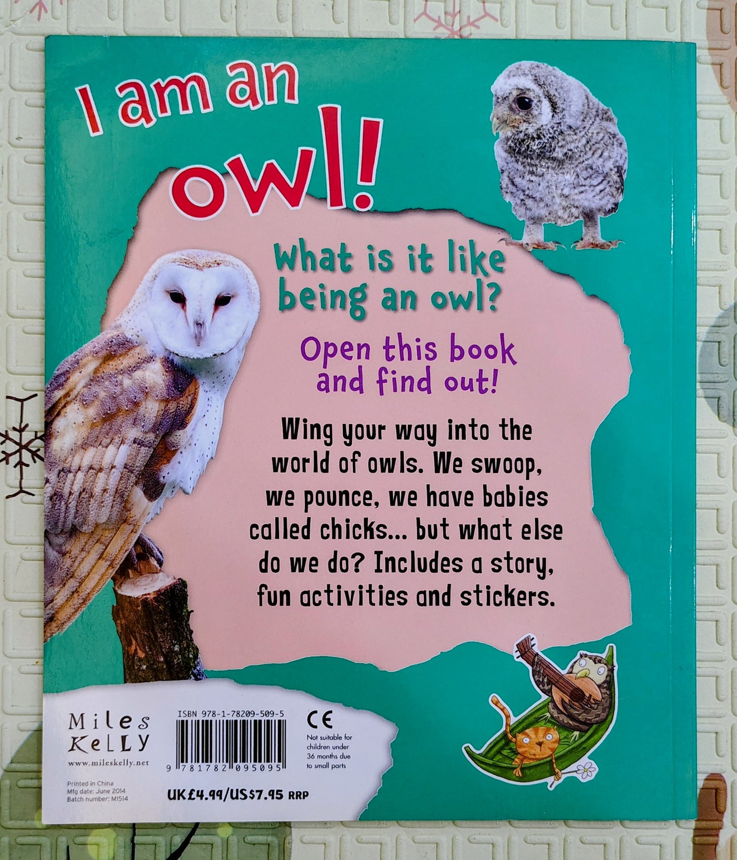 I Am an Owl! (Miles Kelly)