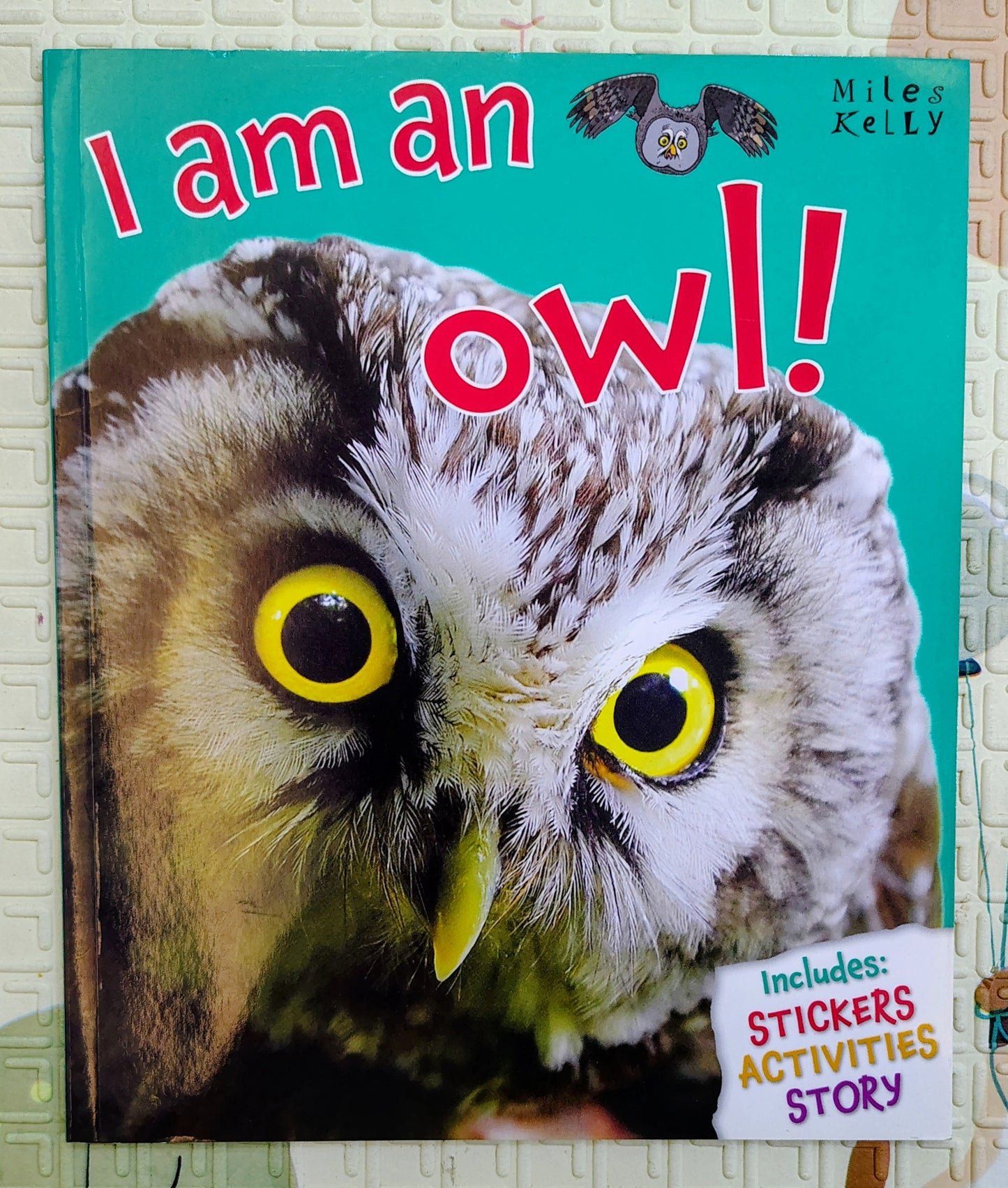 I Am an Owl! (Miles Kelly)
