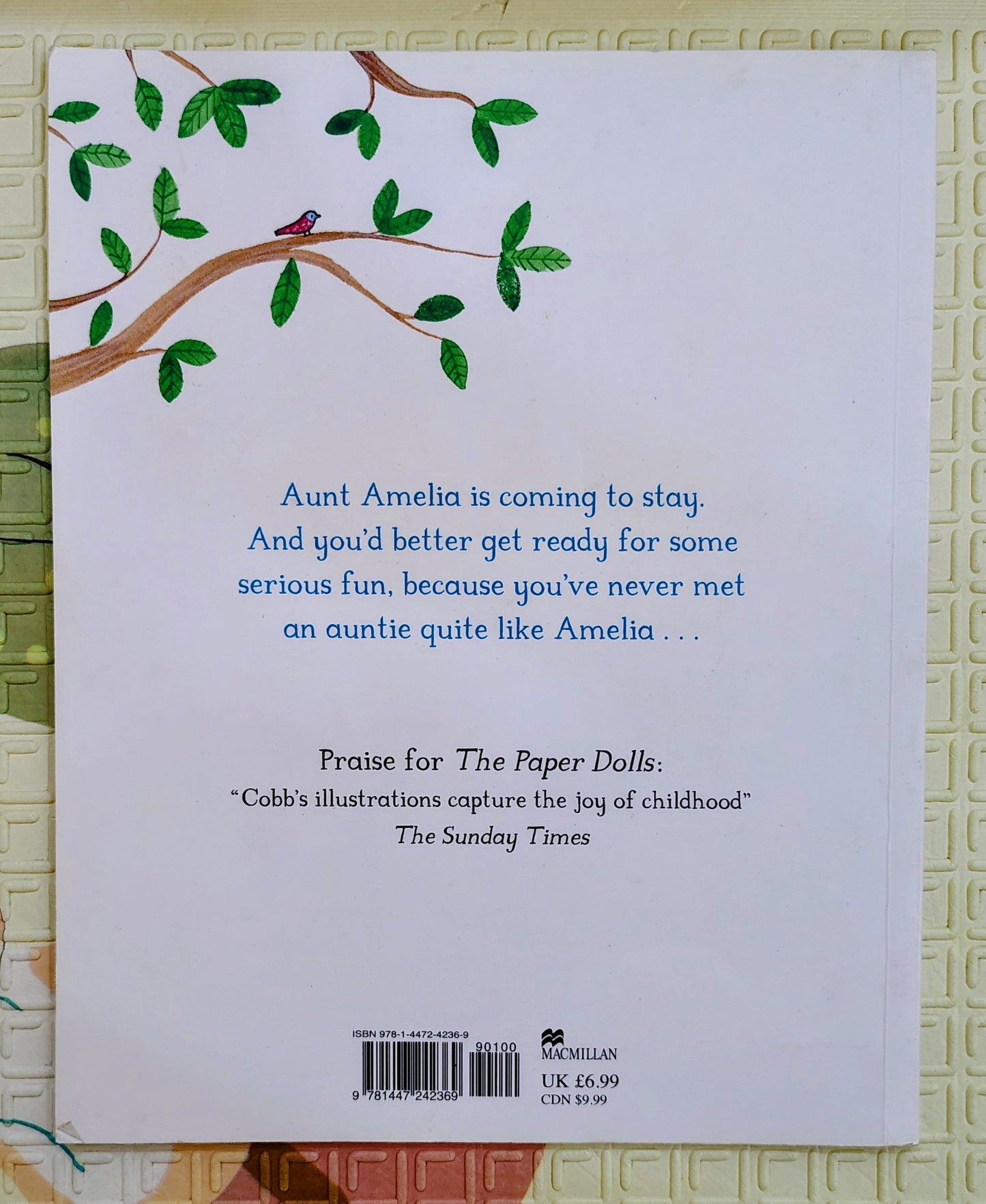 Aunt Amelia by Rebecca Cobb | Macmillan