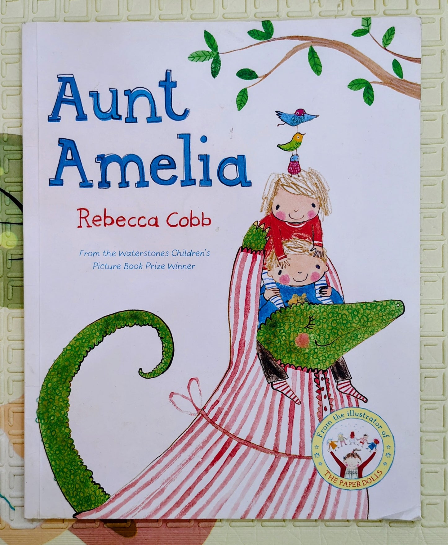 Aunt Amelia by Rebecca Cobb | Macmillan