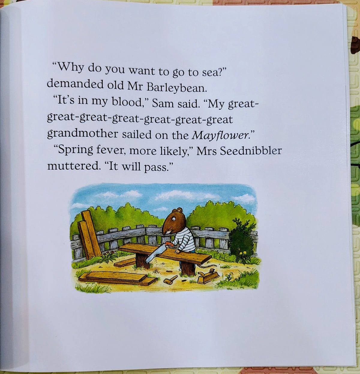 Sam Who Went to Sea – Phyllis Root & Axel Scheffler
