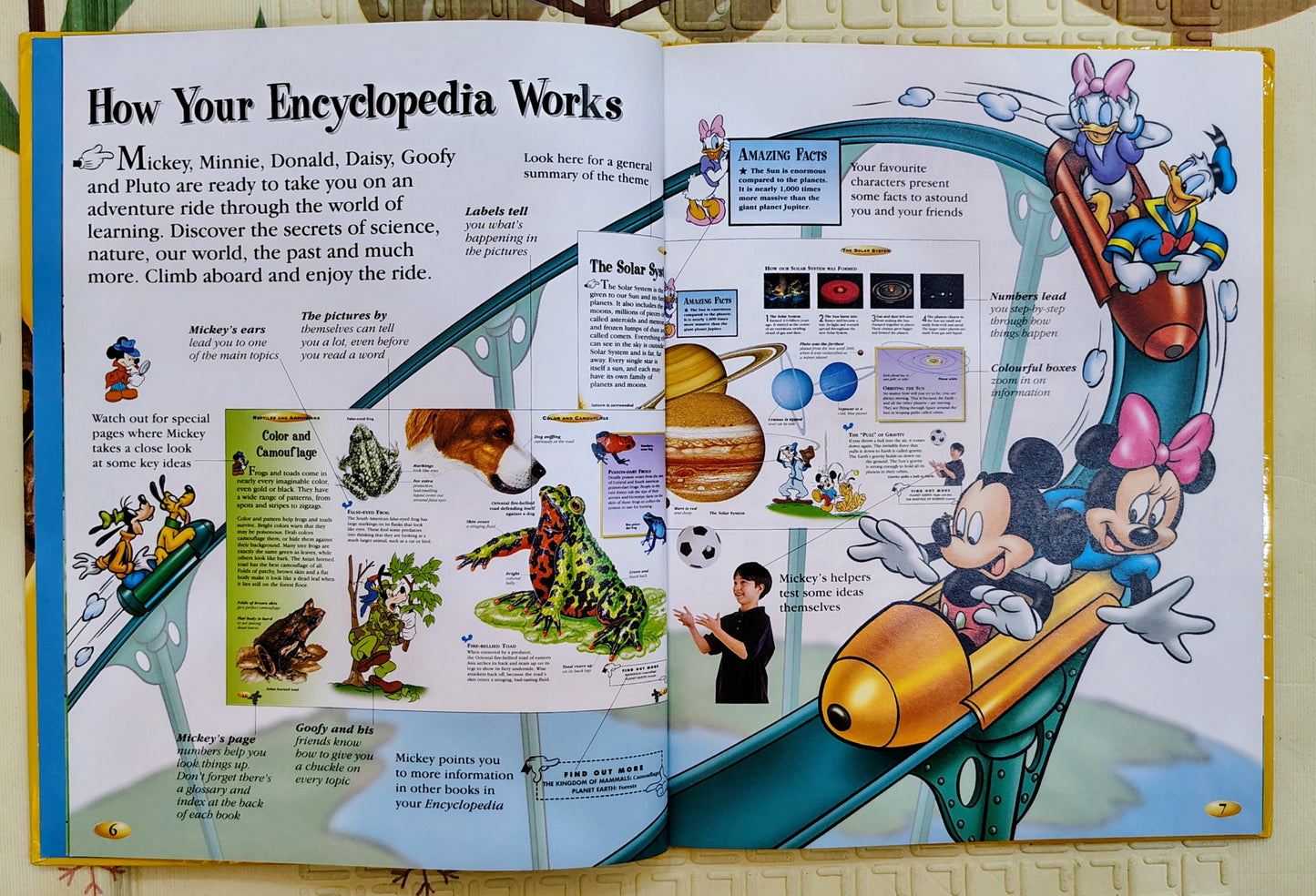 Disney The Wonderful World of Knowledge: Dinosaurs