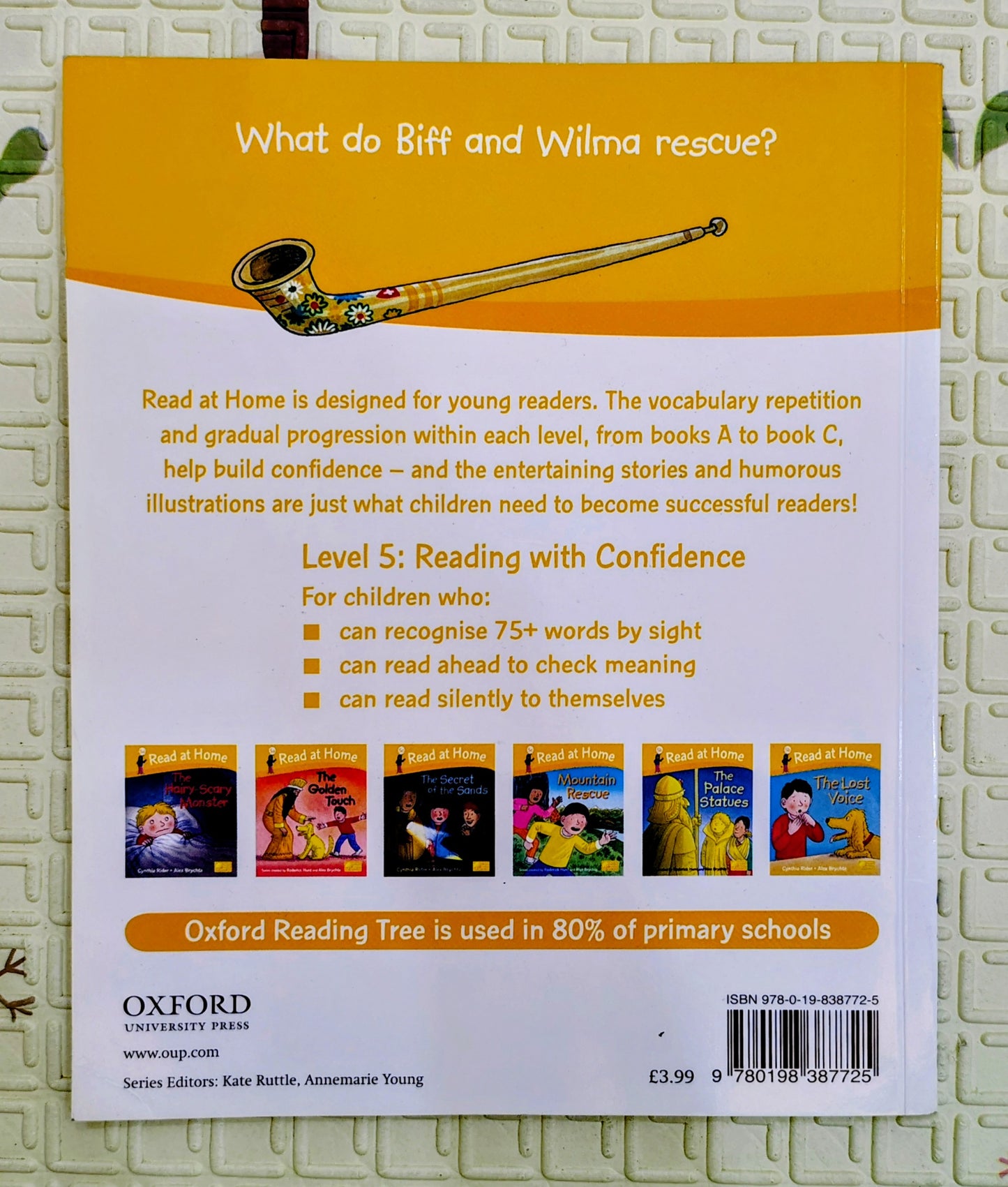 Oxford Reading Tree Level 5: Mountain Rescue