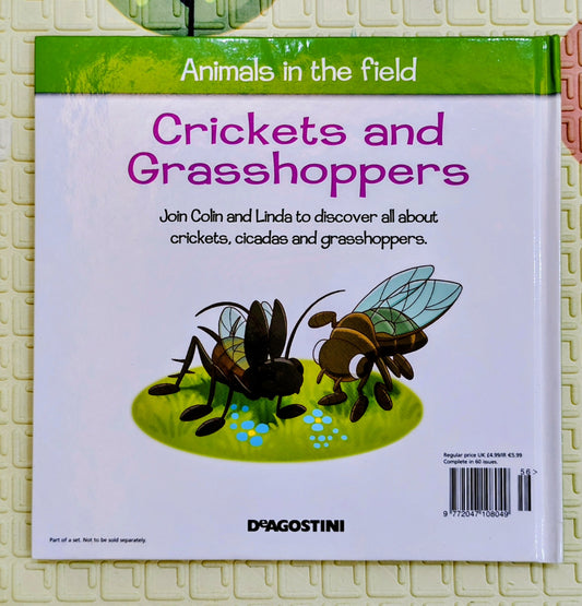 Crickets and Grasshoppers – Animals in the Field | My Farm Animals Series