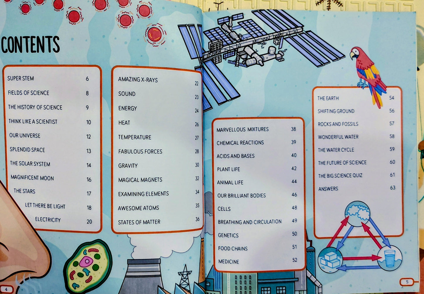 STEM Activity: Sensational Science