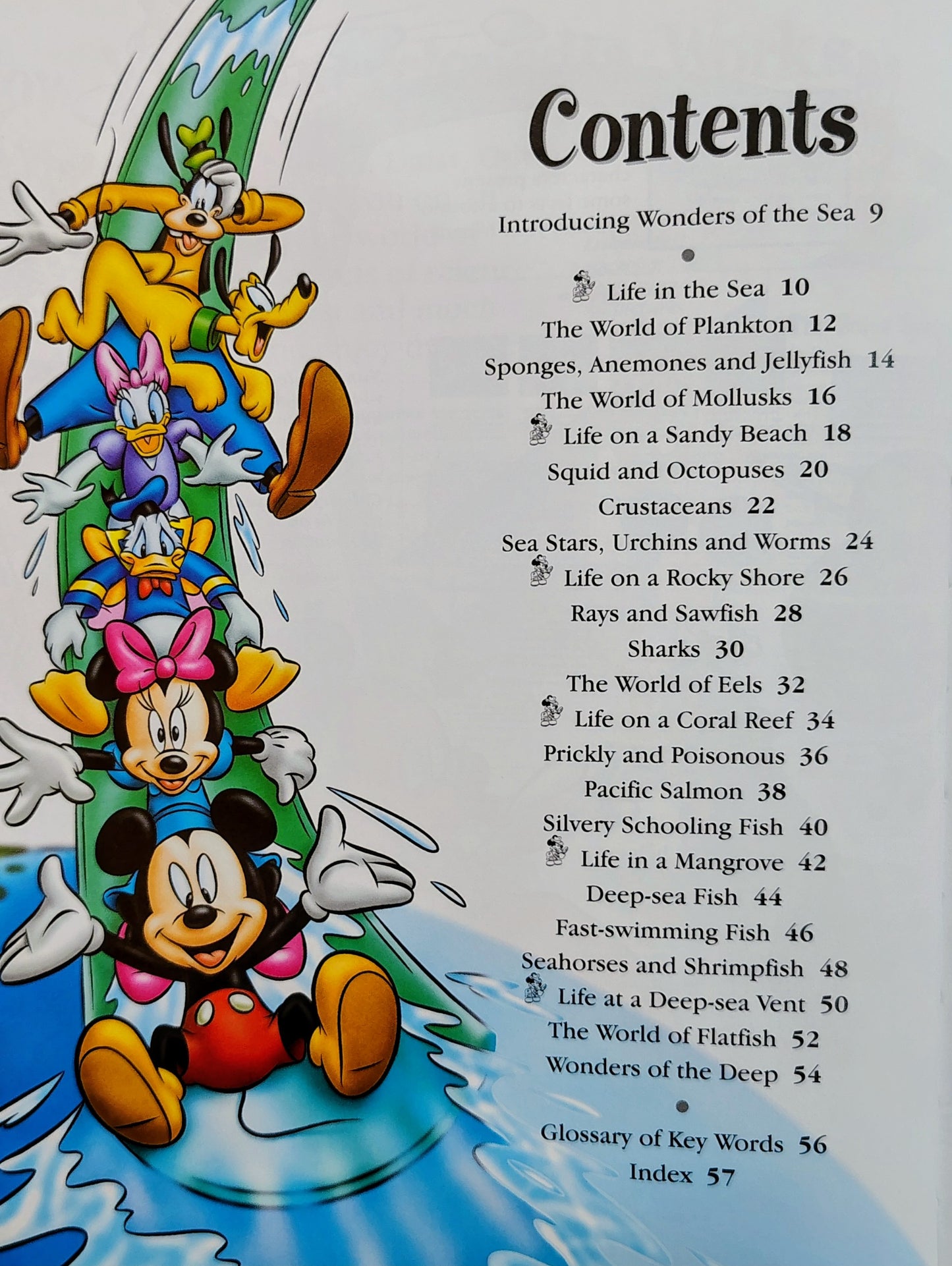 Disney: Wonders of the Sea