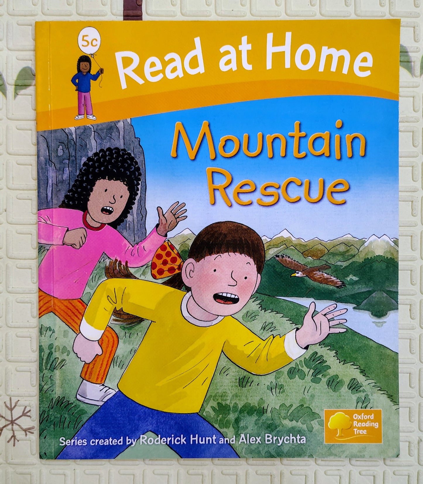 Oxford Reading Tree Level 5: Mountain Rescue