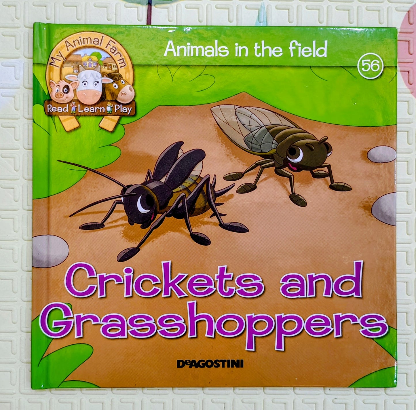 Crickets and Grasshoppers – Animals in the Field | My Farm Animals Series