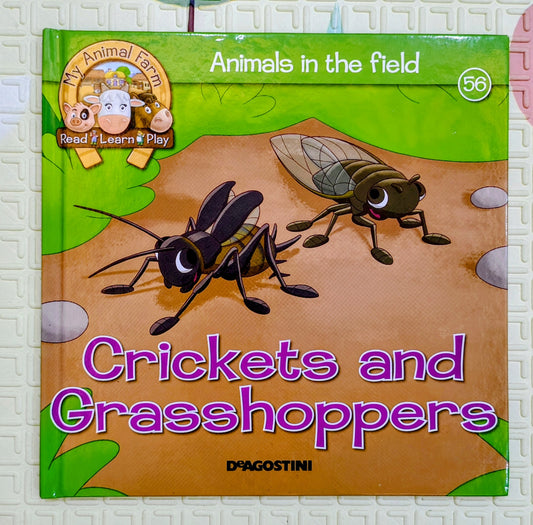 Crickets and Grasshoppers – Animals in the Field | My Farm Animals Series